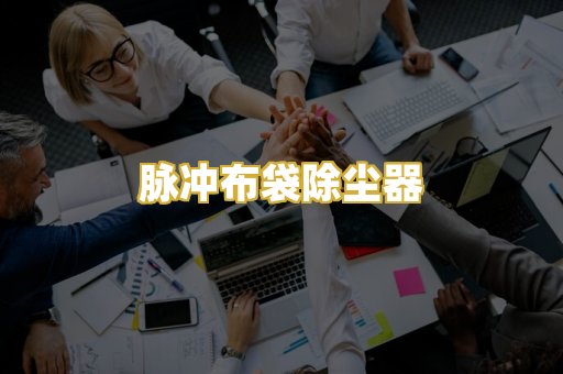 脉冲布袋除尘器